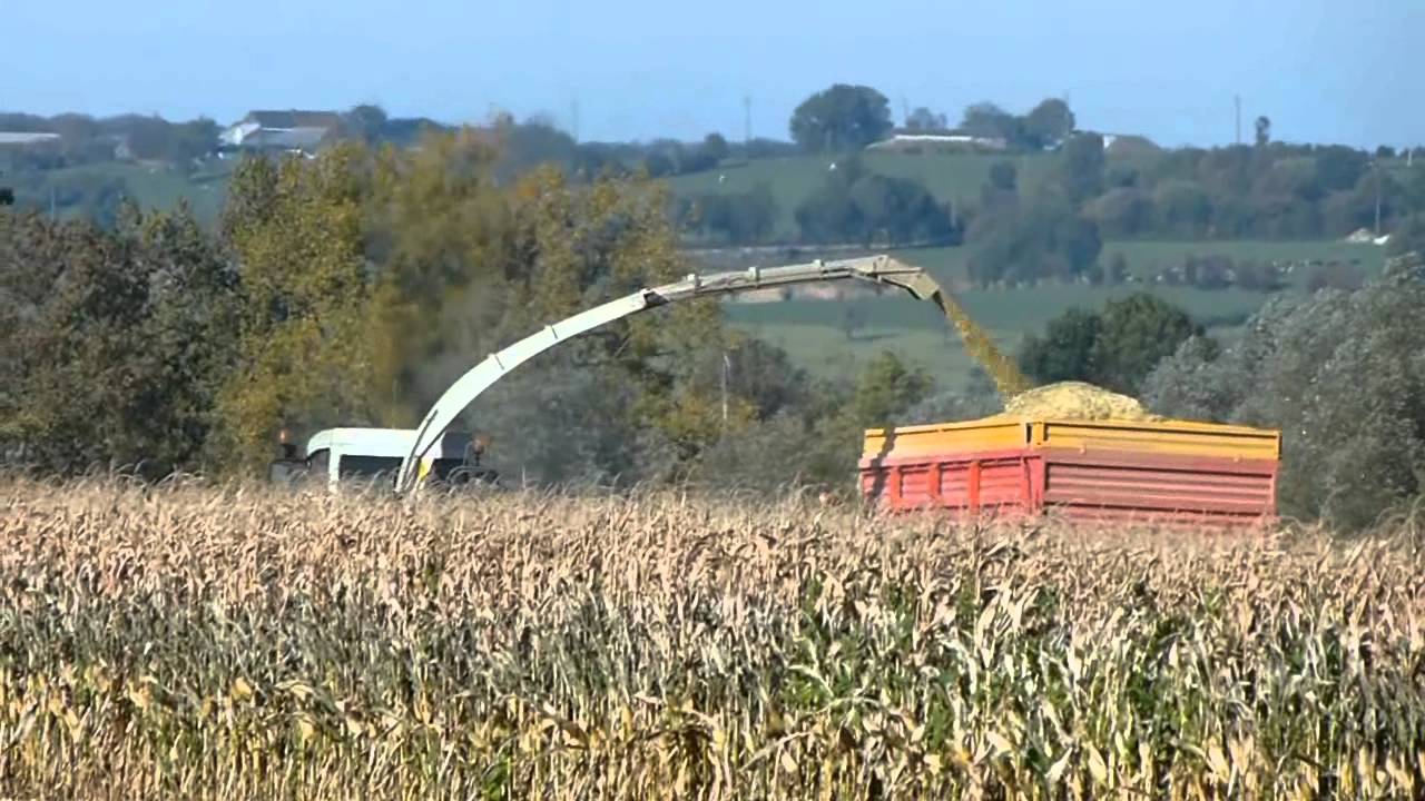 Silage of corn by Egide London with Claas Jaguar 900 & Kemper 390plus and lots of John Deere