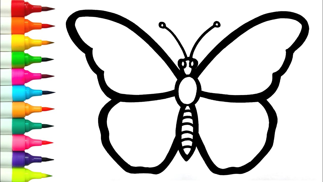 Butterfly Drawing || Draw butterfly step by step || how to draw a butterfly easy