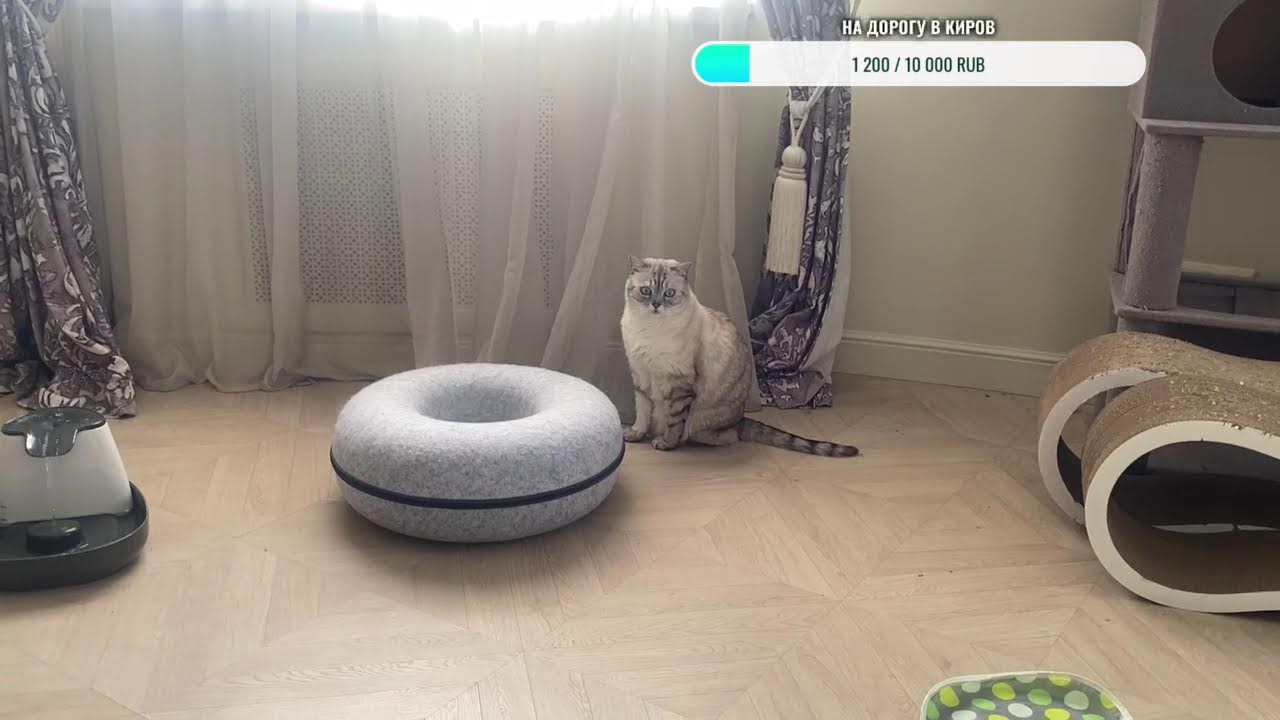 Завтрак с Ириской