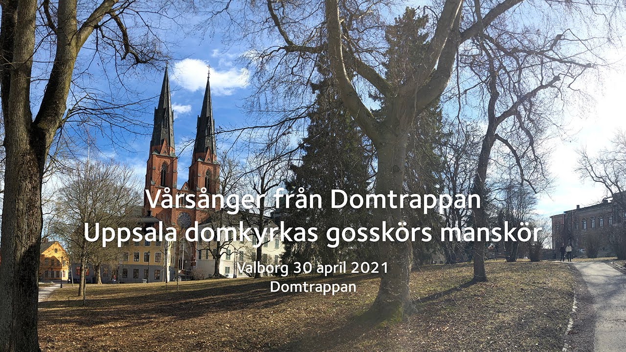 Vårsånger från Domtrappan - Uppsalas domkyrkas gosskör manskör sjunger in våren