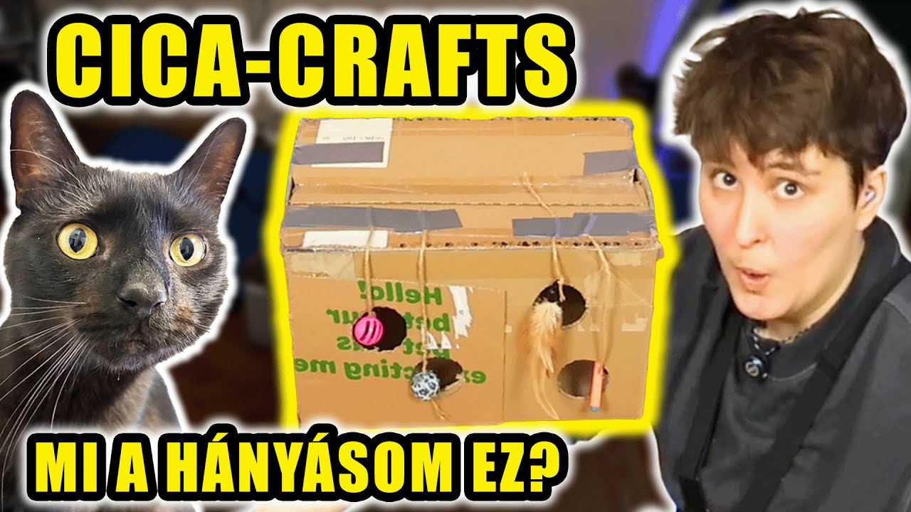 DIY Cica Játékokat Teszteltem a macskáimnak hogy ne harapják le az arcomat álmomban 🫠