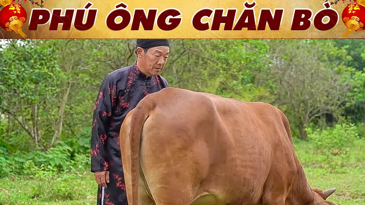 PHÚ ÔNG CHĂN BÒ 🔥CỔ TÍCH VIỆT NAM 2026🔥CỔ TÍCH HAY NHẤT 🔥 PHIM CỔ TÍCH MỚI NHẤT🔥 YÊU CỔ TÍCH | THVL