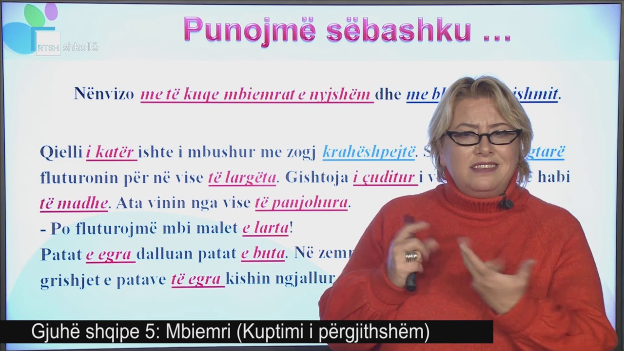 Gjuhë shqipe 5 - Mbiemri (Kuptimi i përgjithshëm)