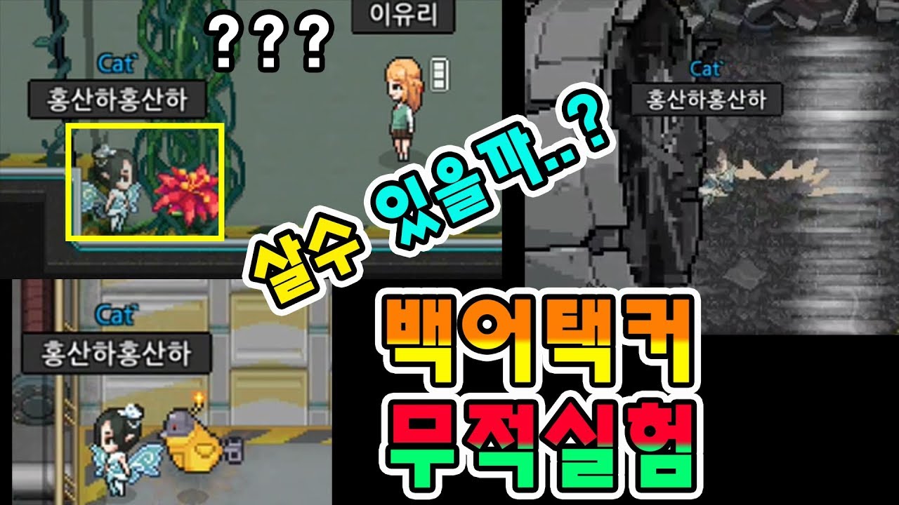 백어택커 무적실험!  근데 결과가 대박인데...??