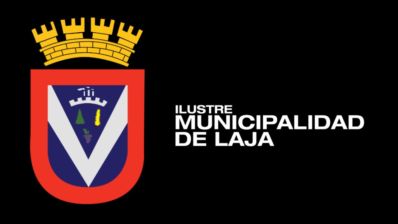Concejo Municipal 18-02-2026