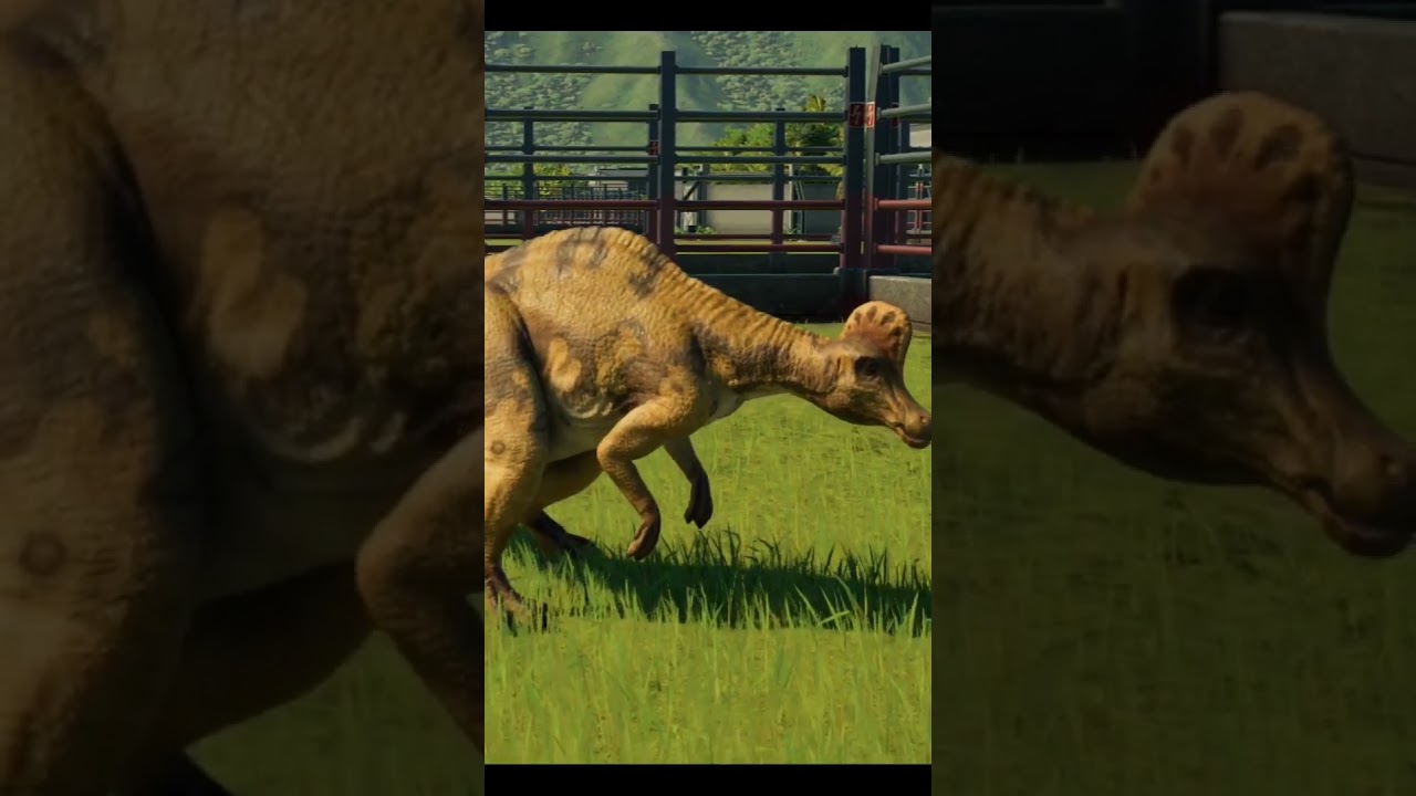 CORYTHOSAURUS THREATEN ANIMATION | Jurassic world evolution 2 #jwe2