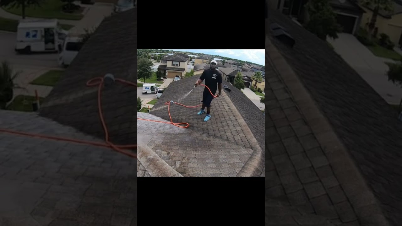DIRTY shingle roof cleaning with 12v Pump