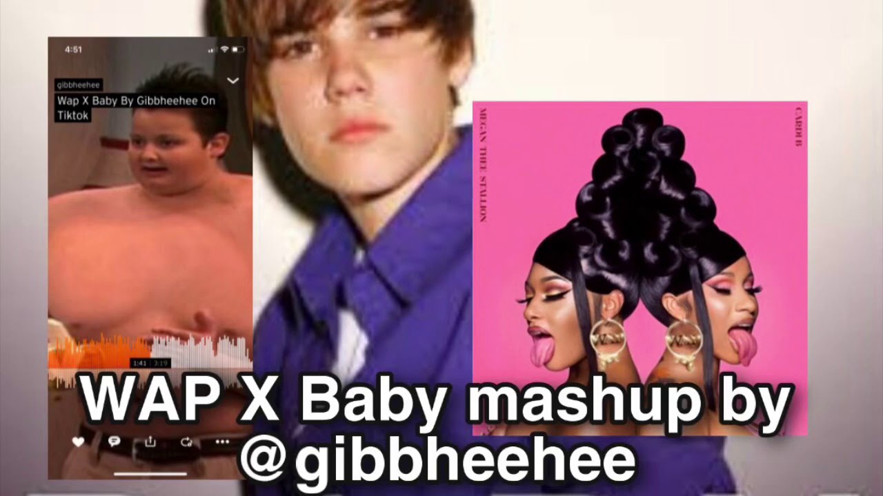 WAP x Baby mashup by @gibbheehee tik tok
