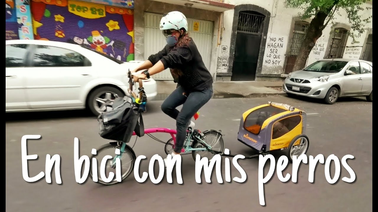 Llevé a mis perros a estética /Remolque de bici para perros