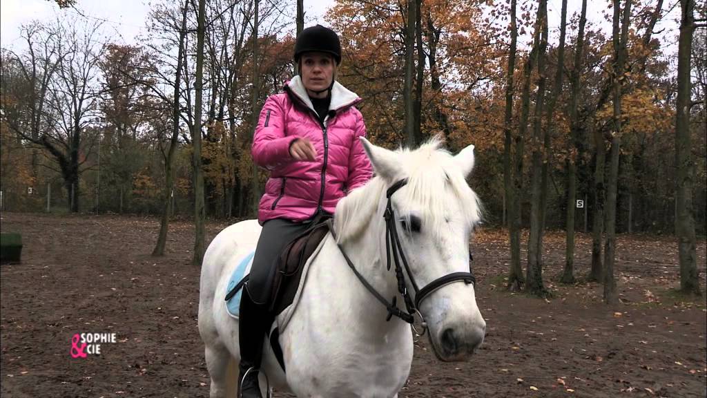 Avoir un cheval calme, connecté et aux ordres