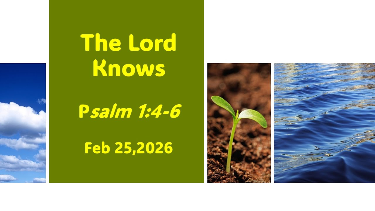 Fe 25, 2026 Mid Week Message 