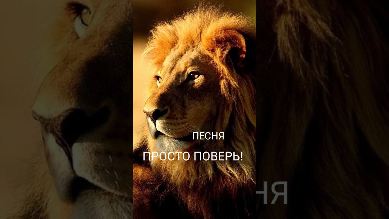 ПЕСНЯ 