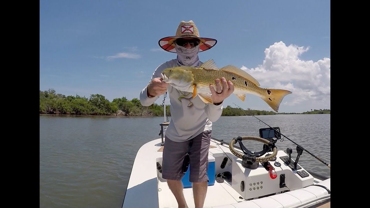 Three Trips To Mosquito Lagoon
