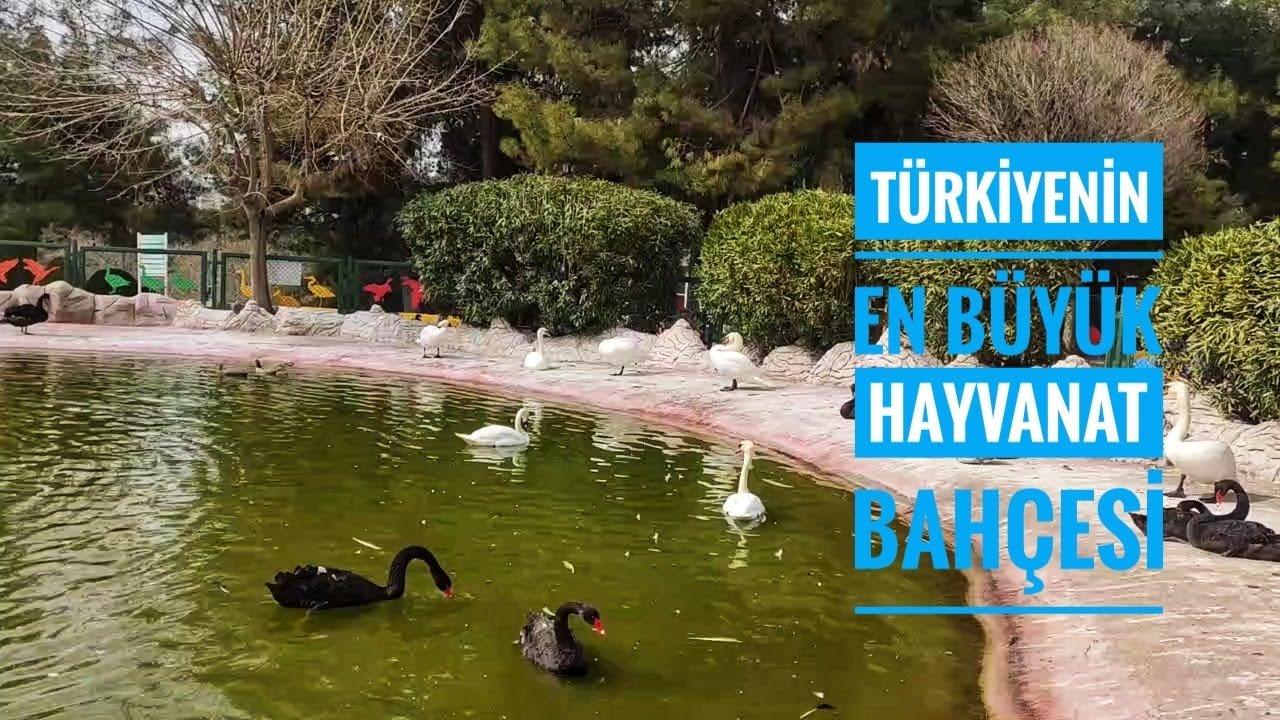 GAZİANTEP HAYVANAT BAHÇESİ TURU