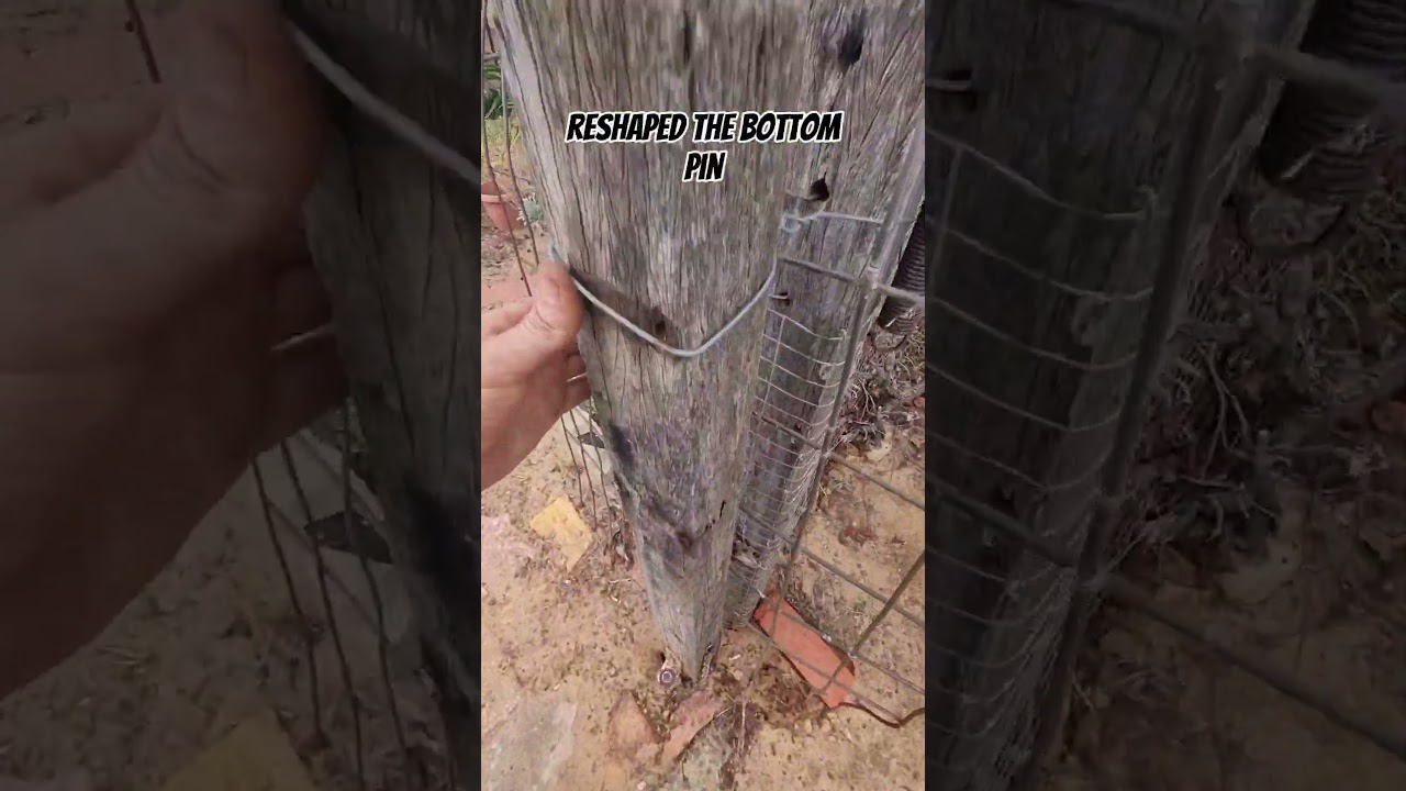 Homestead gate repair #homestead #farm #farming