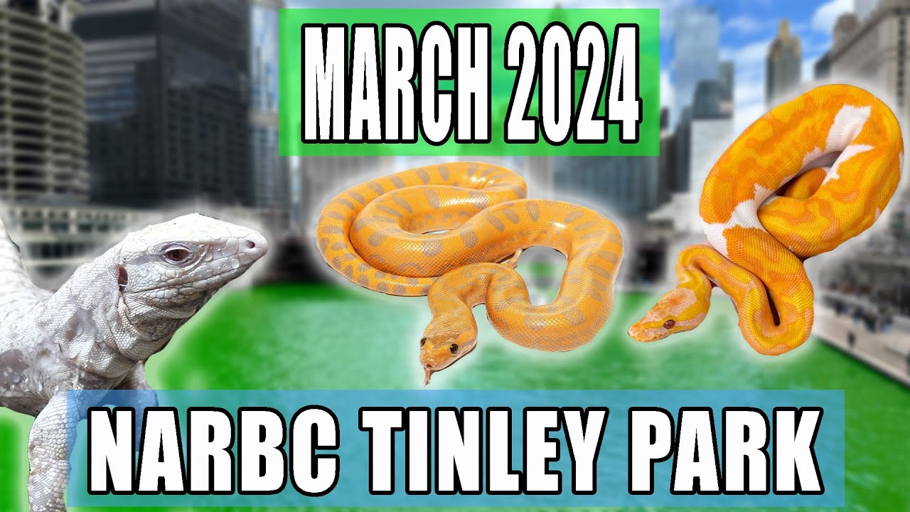 Tinley Park Reptile Expo March 2024