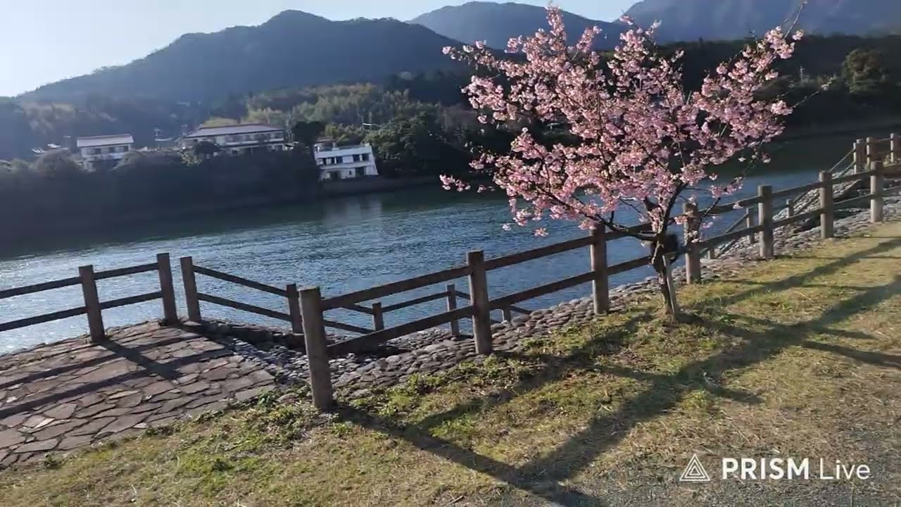 屋久島お天気どライブ（2/13）朝9時ごろ