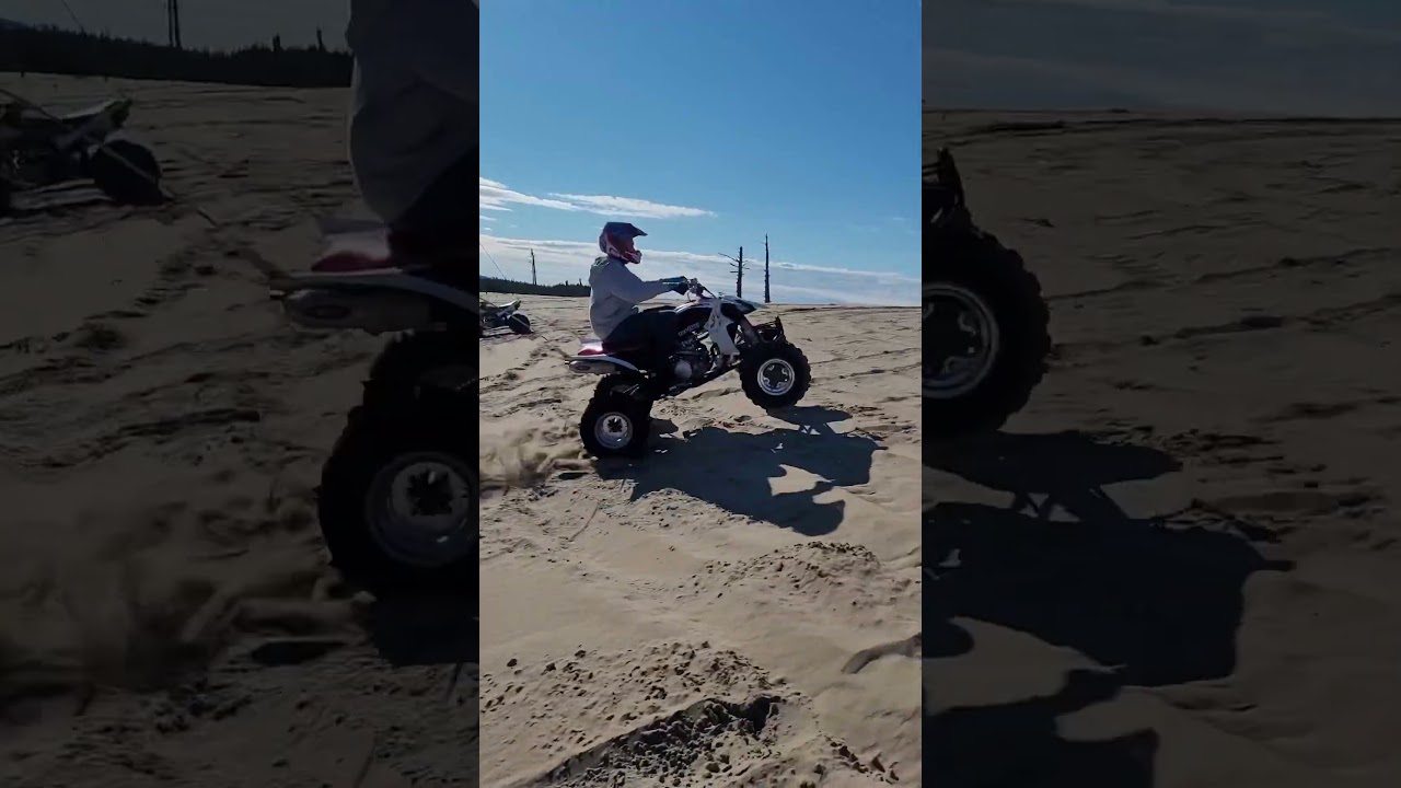 Sand lake tree shot on a yfz450