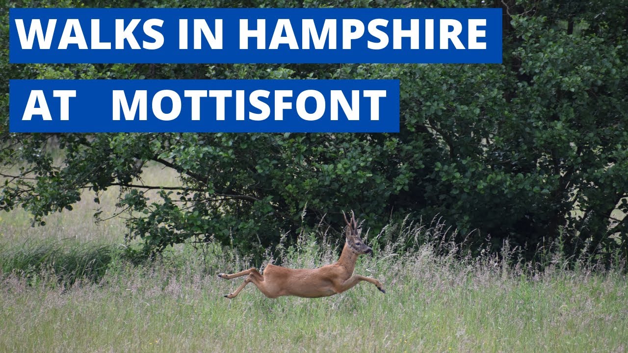 WALKS IN HAMPSHIRE at MOTTISFONT (& DUNBRIDGE)