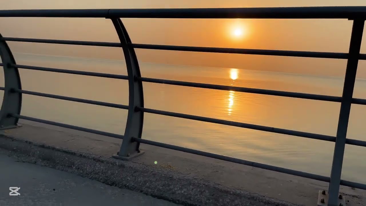 طالبة طب تحاول تطور من نفسها وتحسن حياتها (تحدي الانضباط) 