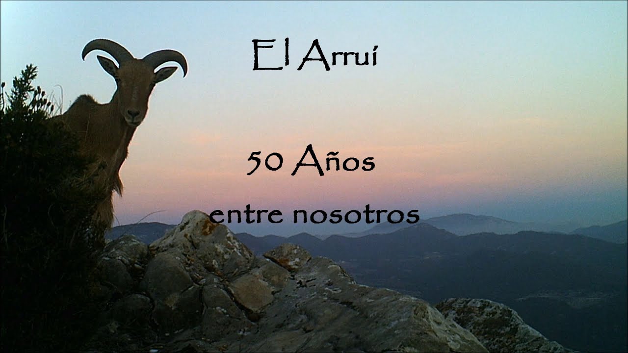 El Arruí 50 Años entre Nosotros