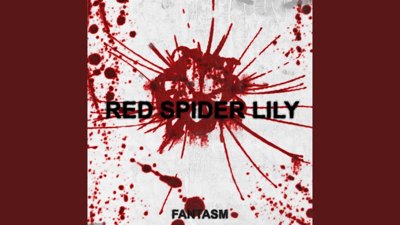 RED SPIDER LILY