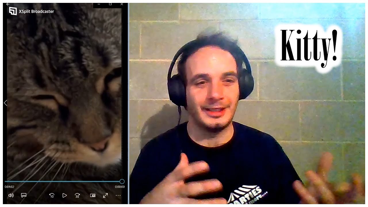SUCH A CUTE KITTEN! | PENNY THE TALKING CAT! | REACTING TO SHORTS!