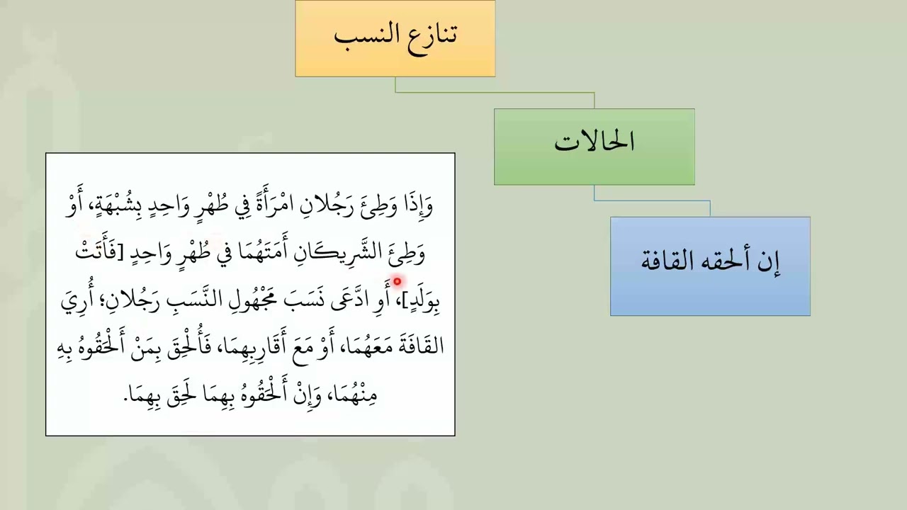 شرح عمدة الفقه - عامر بهجت - فقه الأسرة- 14تنازع النسب