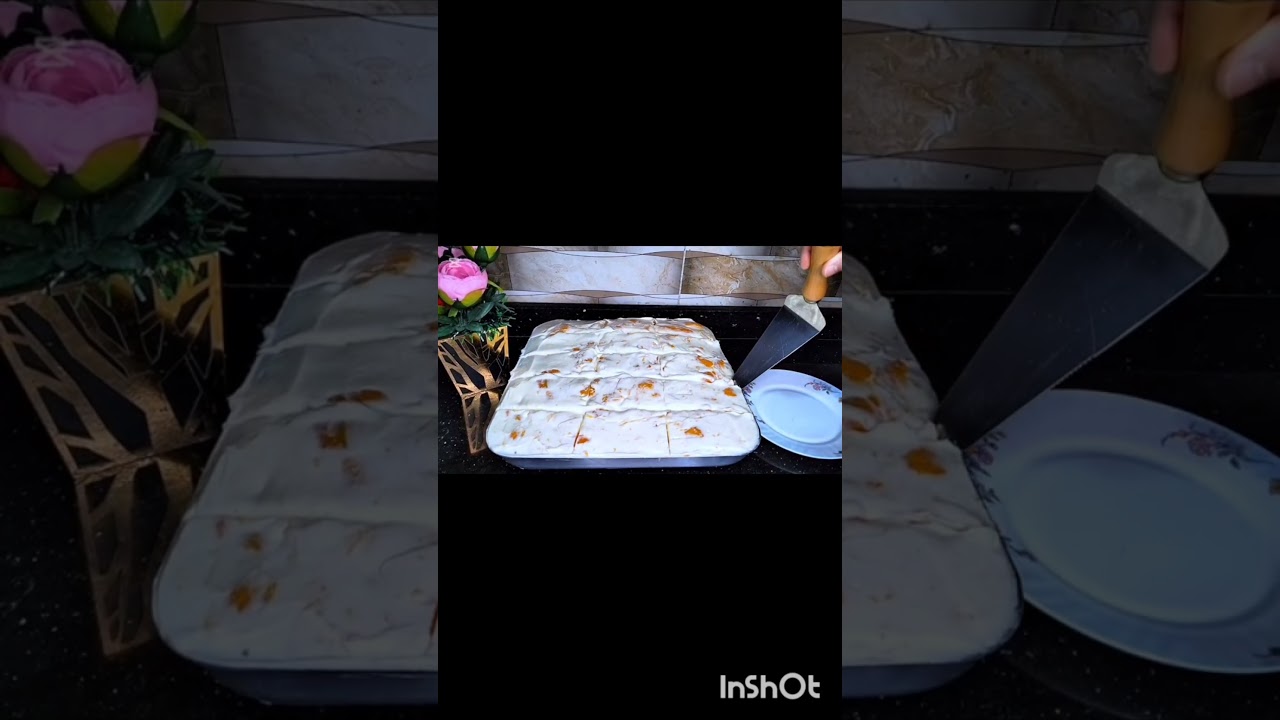 ١٢ فبراير ٢٠٢٦