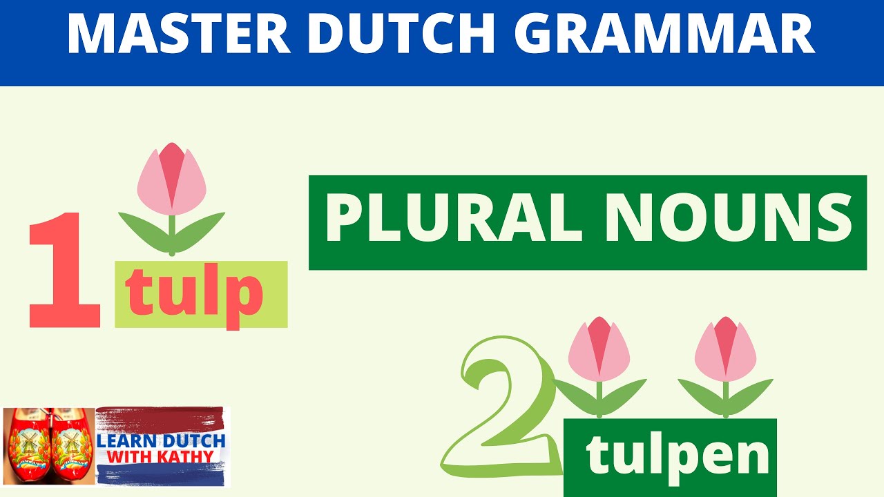 Learn Dutch Grammar _ Master Important Rules for Plural Nouns
