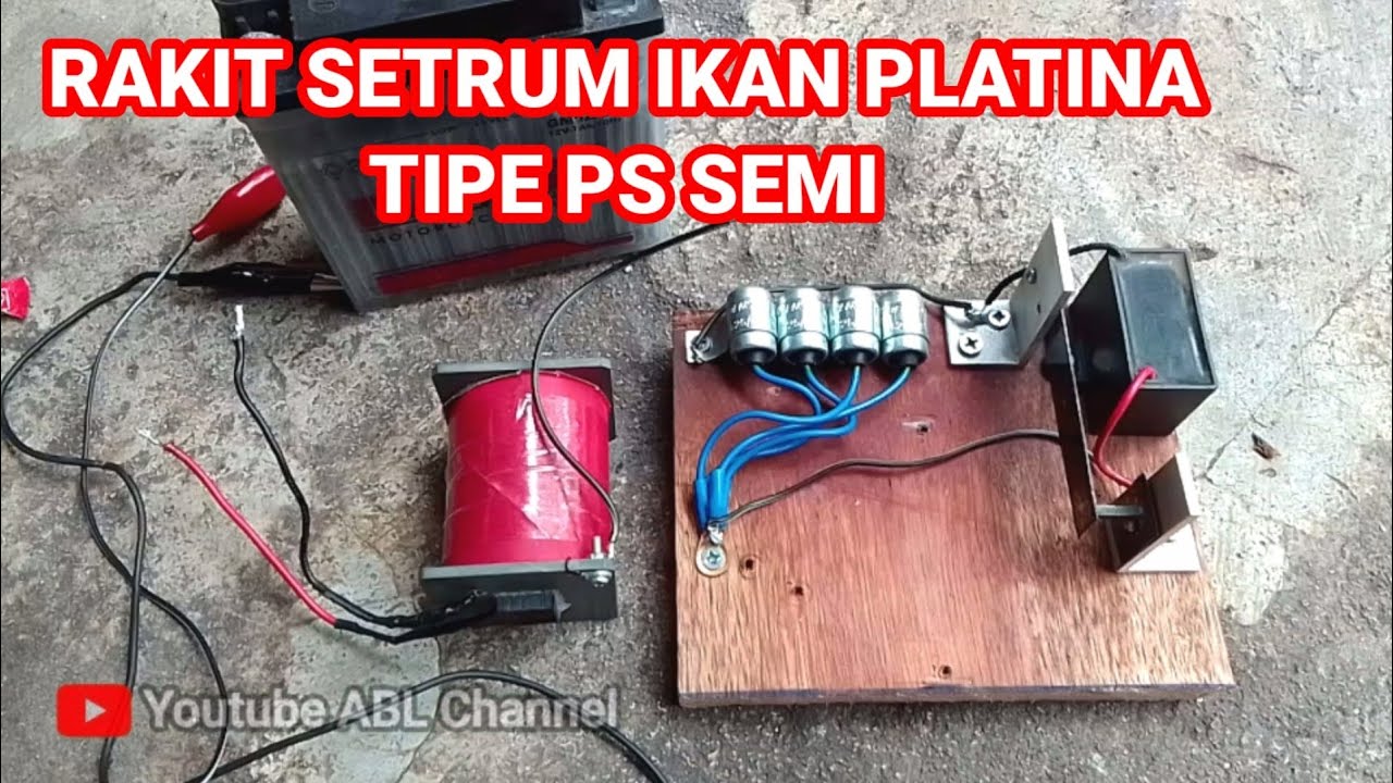 RAKIT SEPUL SETRUM PLATINA YANG BELI DI SHOPEE