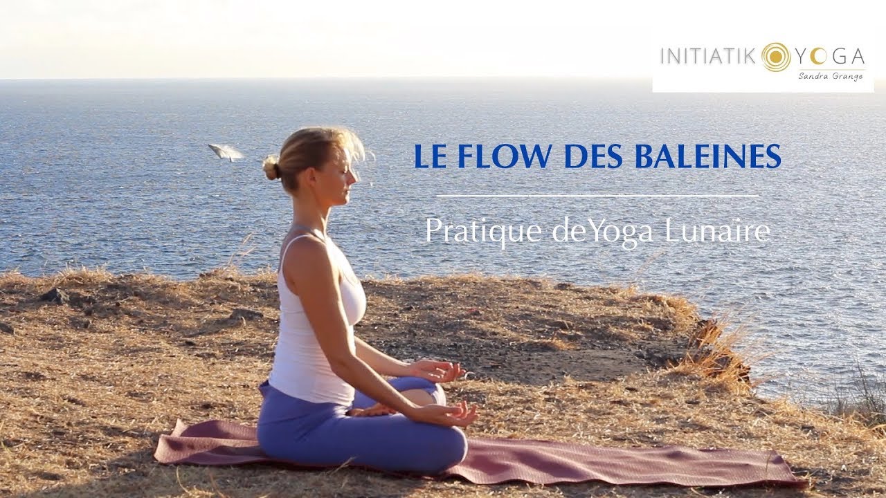 YOGA: Le Flow des Baleines - Lunaire - Eléments Terre et Eau