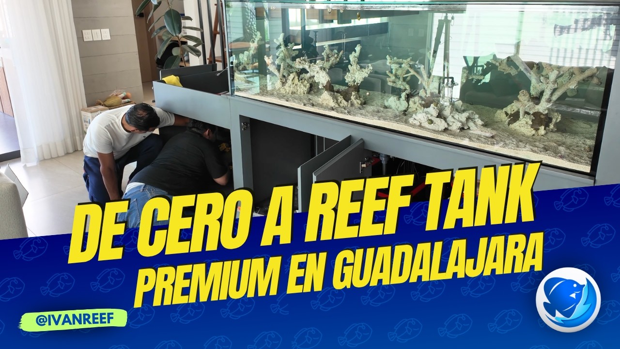 El Acuario de Carlos Guadalajara