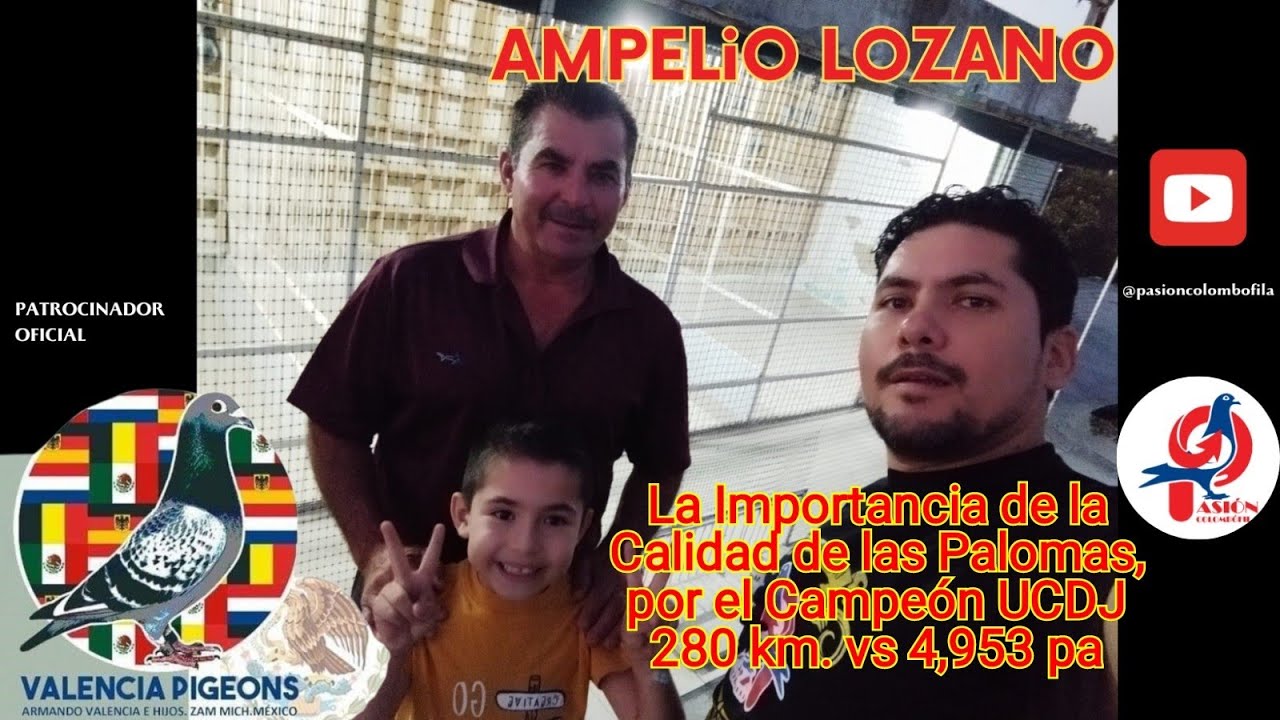 The Importance of Pigeon Quality, by the UCDJ Champion 280 km vs. 4,953 pal Ampelio Lozano