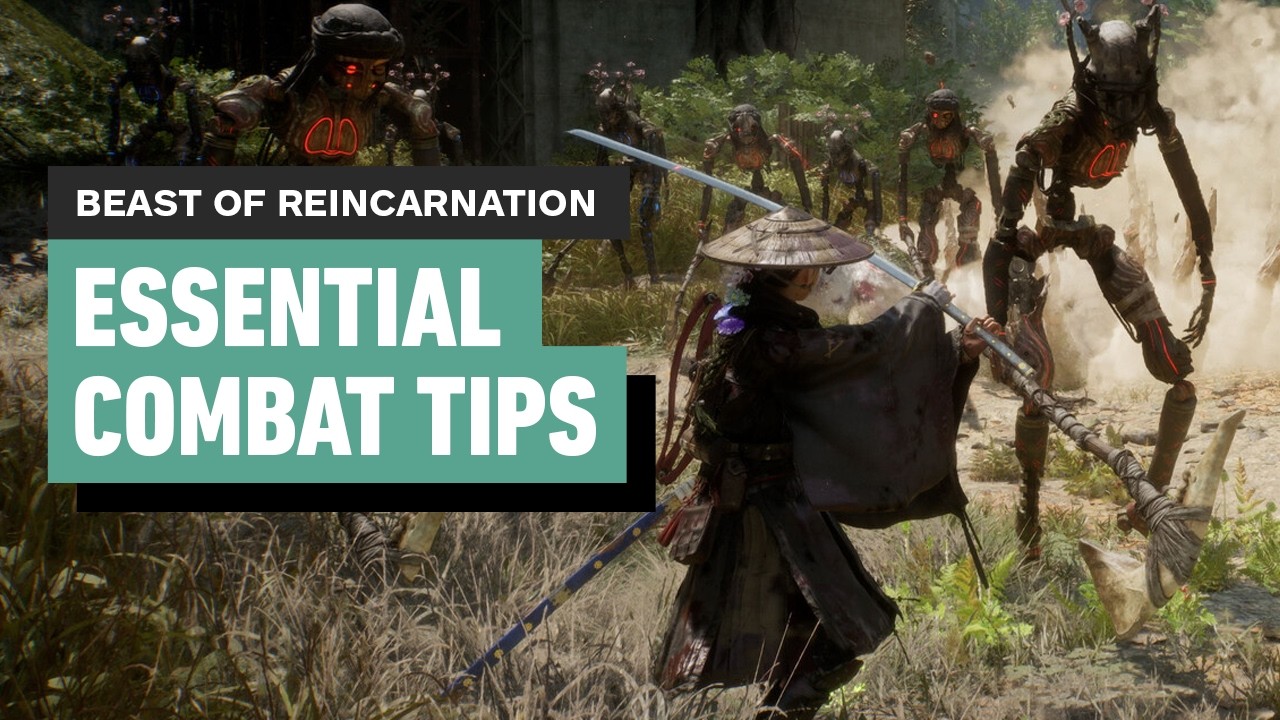 How to Master Combat in Beast of Reincarnation