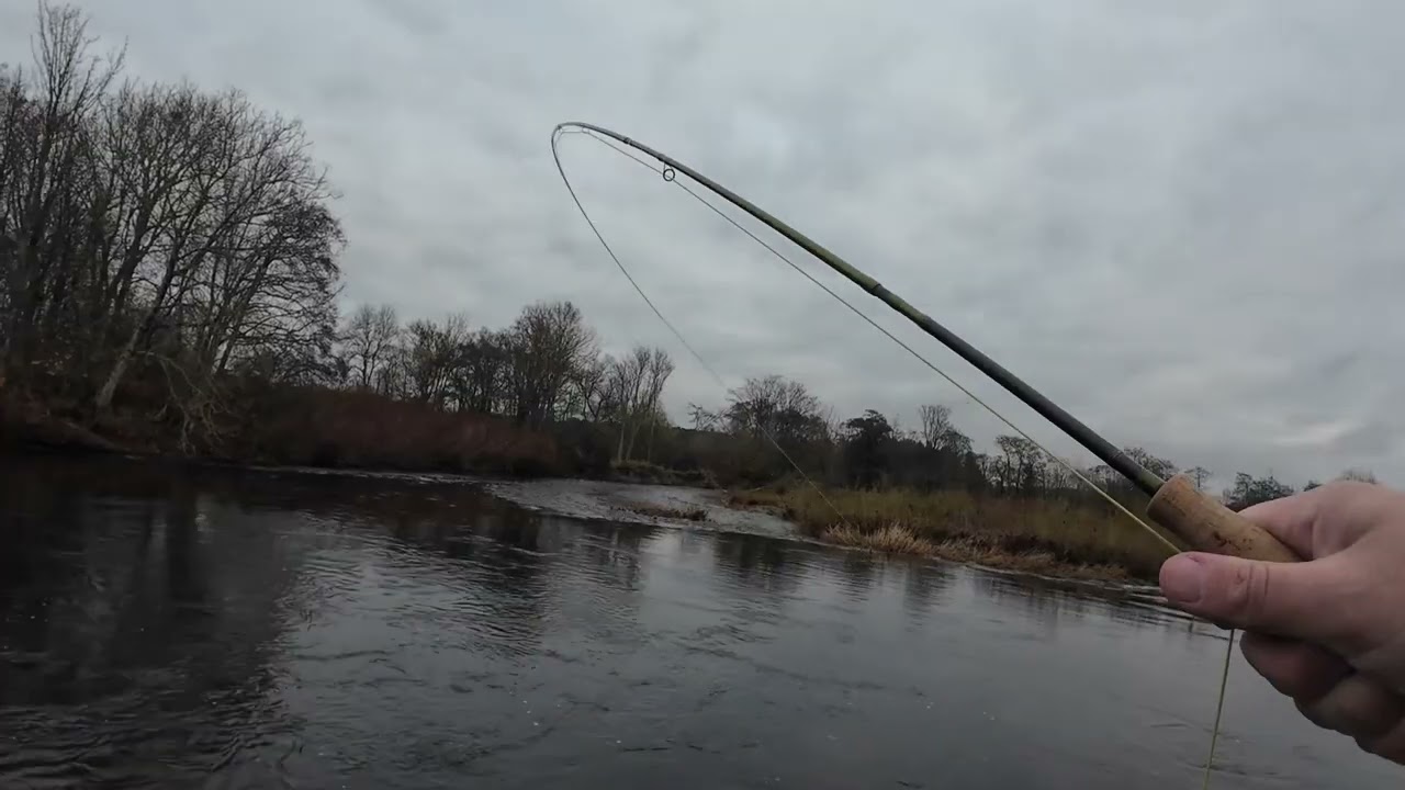 River Earn Grayling Fishing 17 11 2023