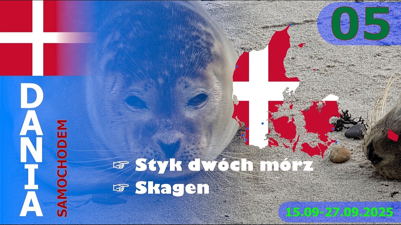 05 🇩🇰 DANIA: Styk dwóch mórz i foki w Skagen