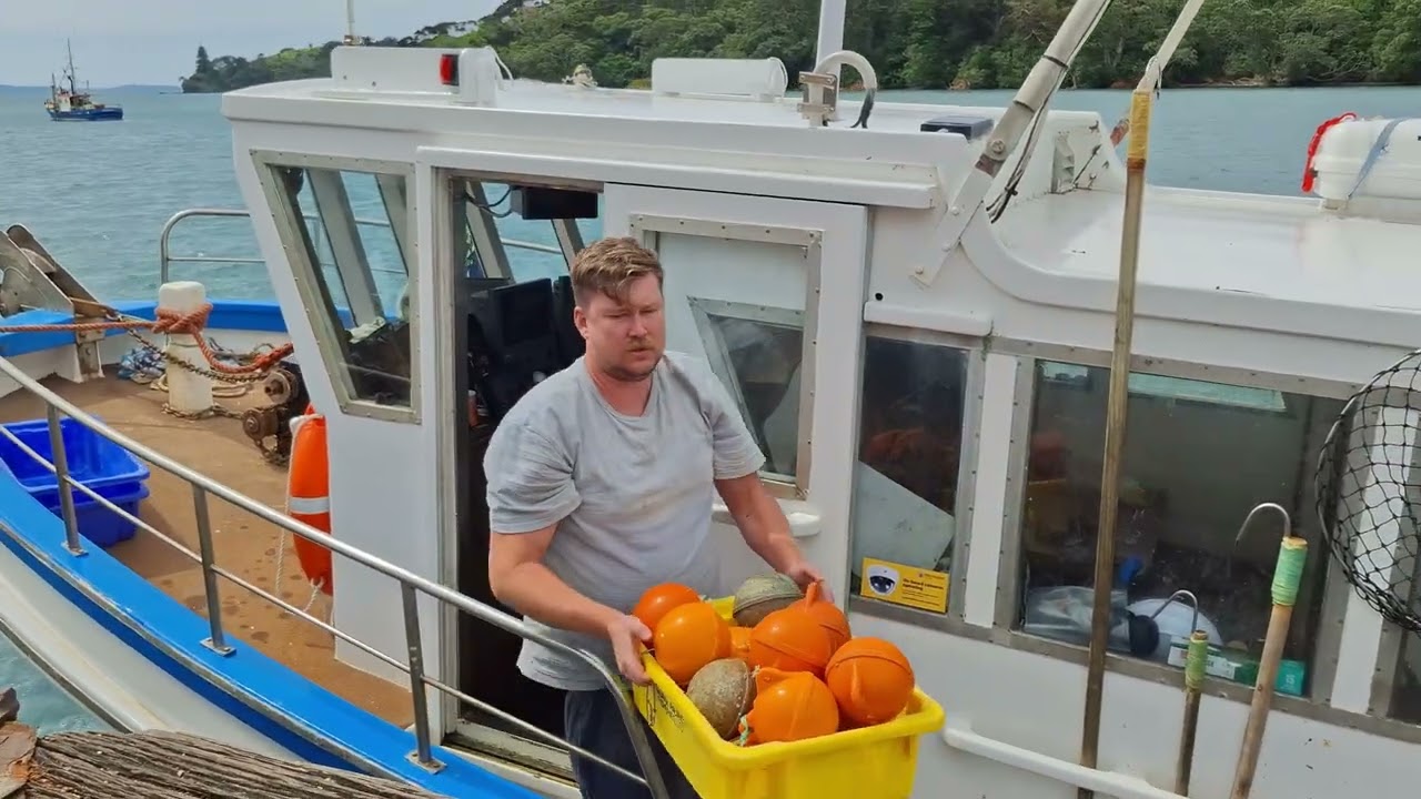 Аудит судна для ярусного лова на пристани Мангонуи 📽🛥🎣✔️