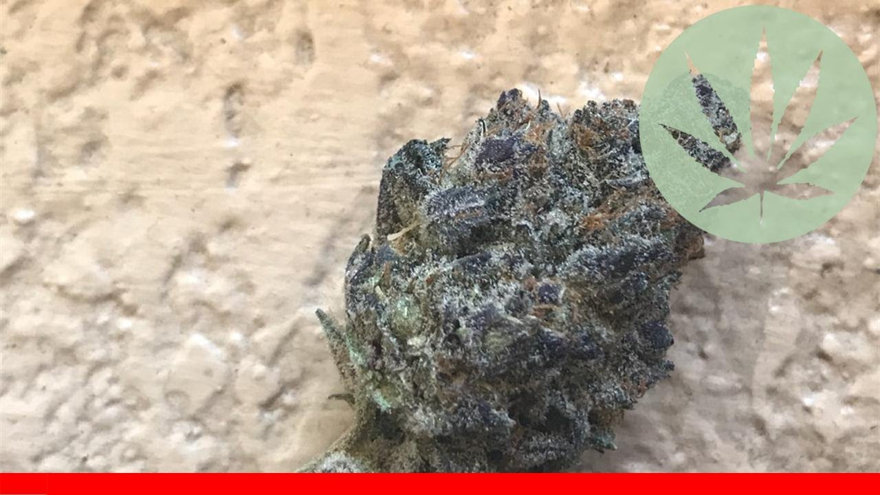 Monster Cookies - All About This Strain