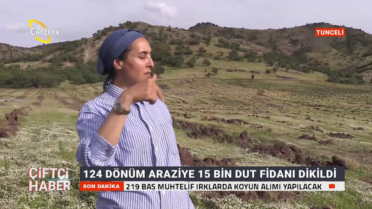 Türkiye'nin En Büyük İpek Böcekçiliği Üretimi Hozat'ta Olacak