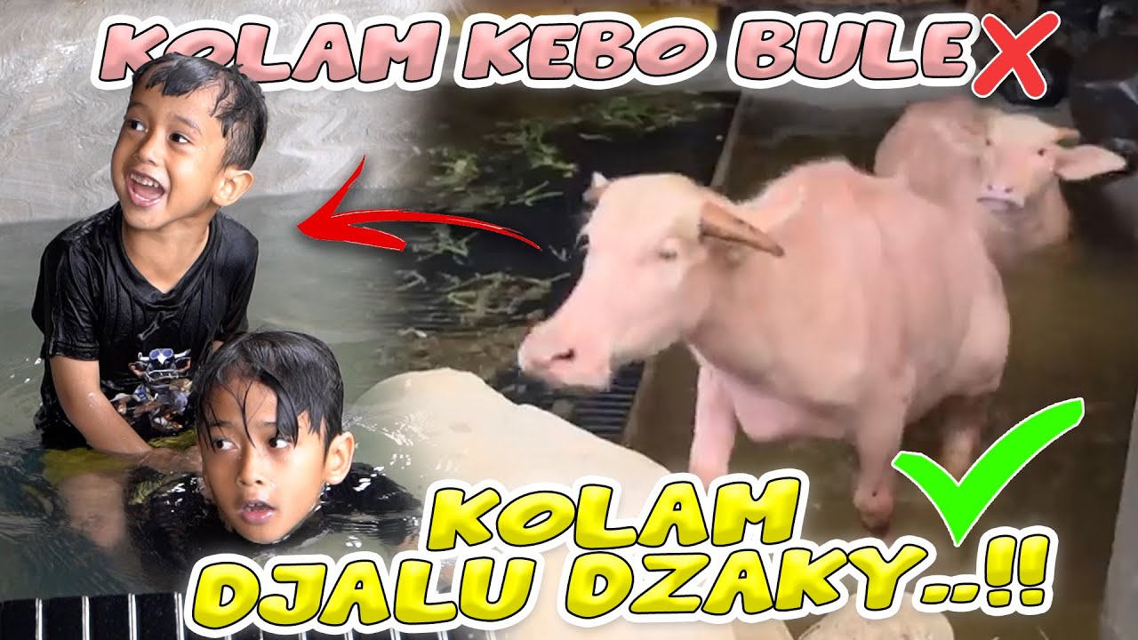 NGURAS KOLAM MALAH JADI NGERUSUH !! BELLA BERRY BETE GAK YA..?!
