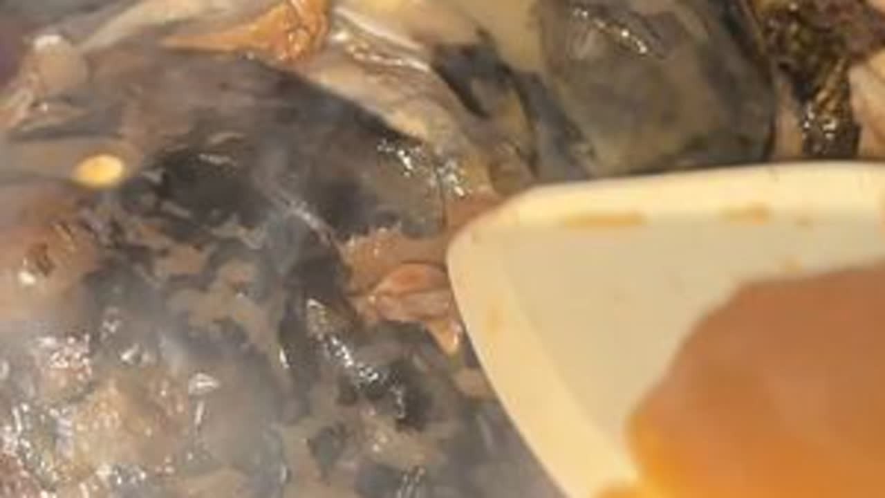 拿回来一条胖头鱼鱼头，让我弟弟做，他做鱼有一套业务 #简简单单的东北农村生活 #野生鱼 #大胖头 #记录真实生活