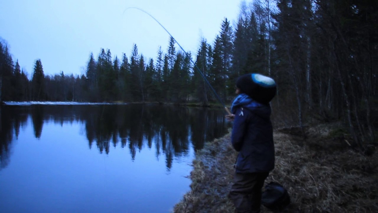 www.splitcane-umea.se