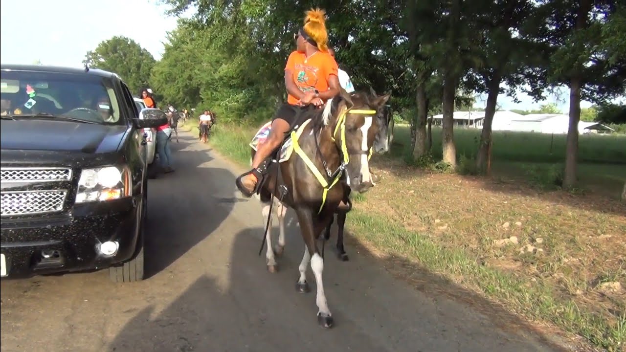 Singlefooting Walking Horses at Hooks Texas Ride