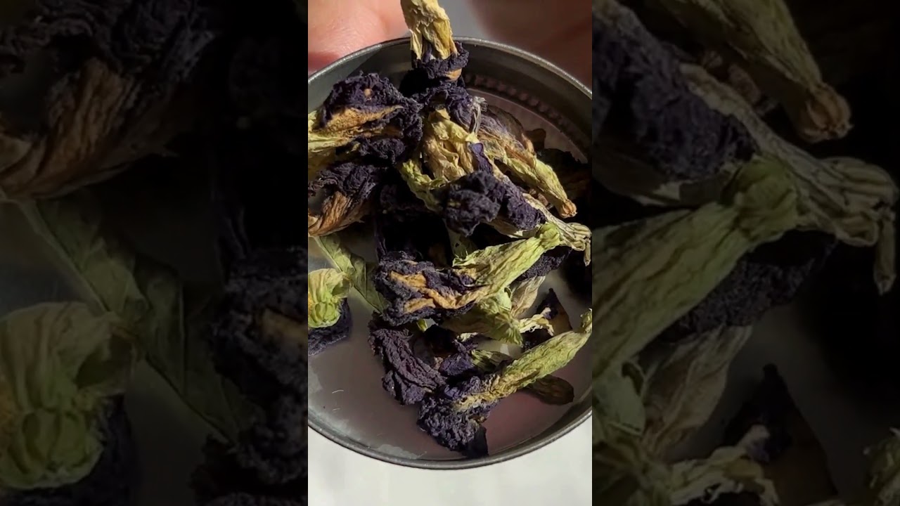 Blue Tea Butterfly Pea Flower Tea