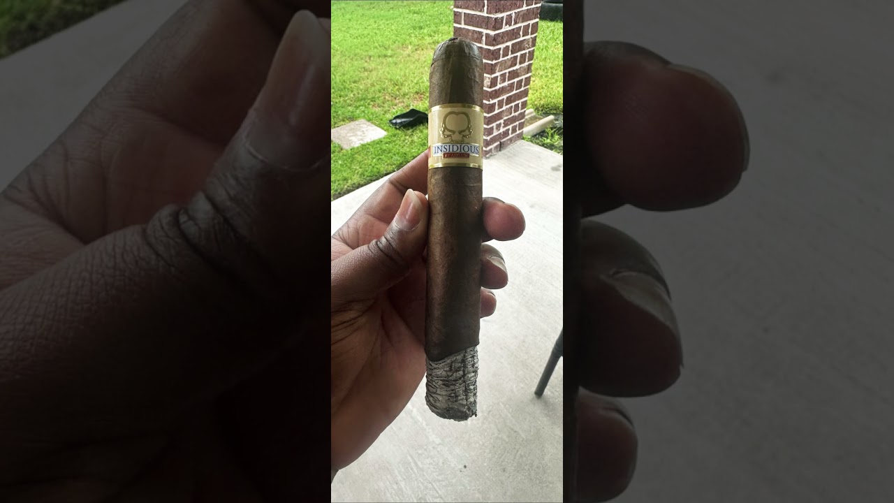 Asylum Insidious Maduro Cigar 764
