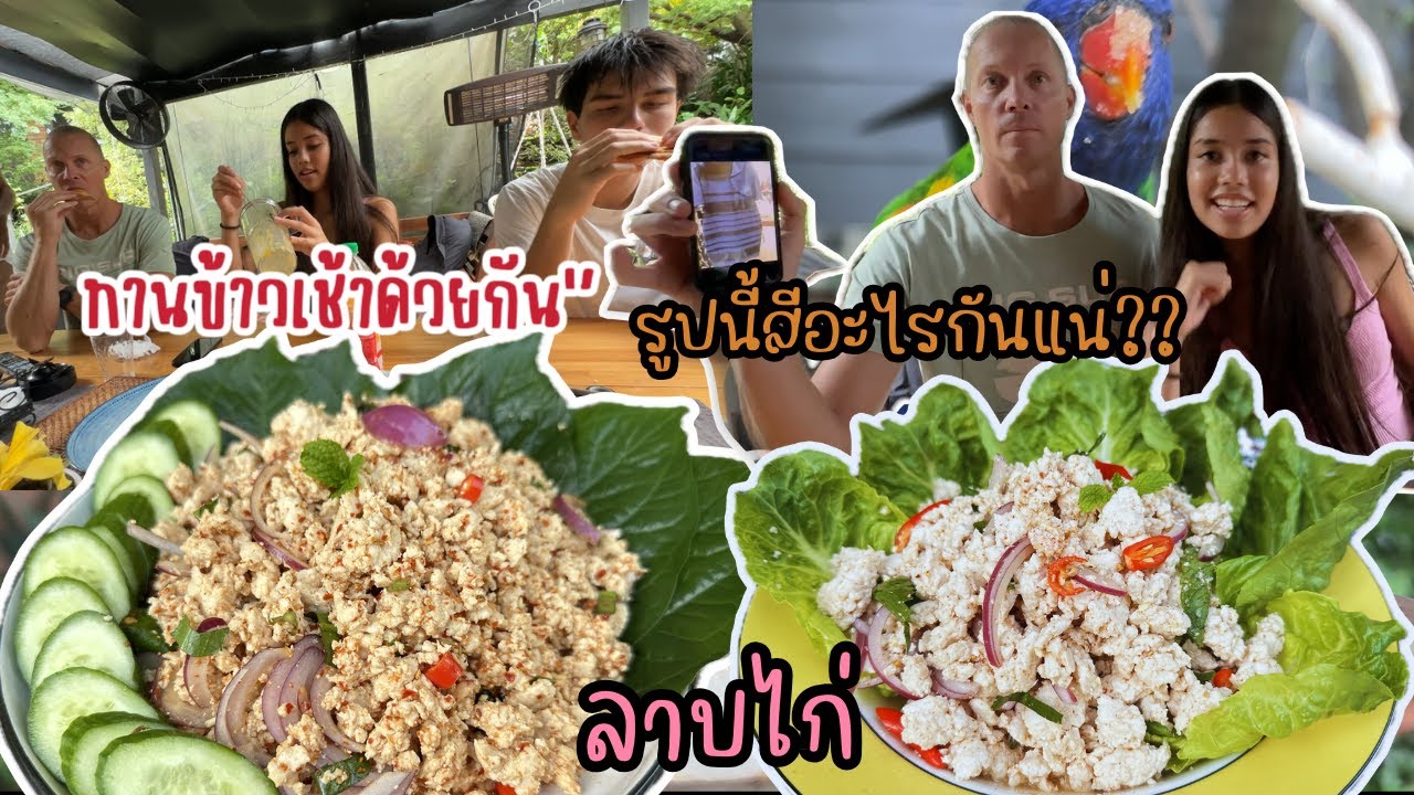 Ep.263 อาหารเย็นง่ายๆลาบไก่ เพื่อนของไทเลอร์อยากได้เสื้อกระทิงแดง Thai spicy chicken salad