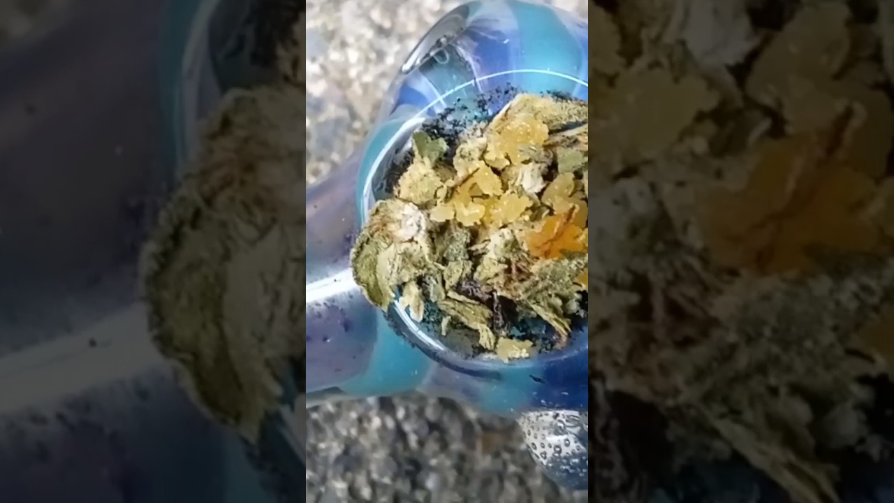 #oldies #tequilandtacos #420blazeit #toohigh #strainreviews #funnyvideo #funnyshorts