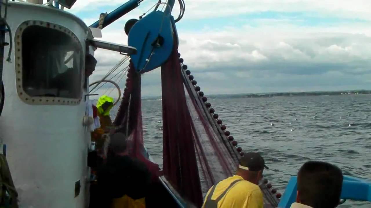 Sortie Peche à bord du bolincheur LYCIA au départ de Concarneau