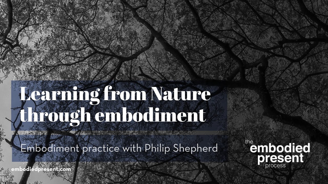 Learning from Nature through embodiment - Talk and embodiment practice with Philip Shepherd